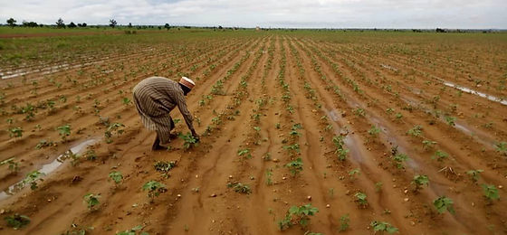 Zamfara State Projects