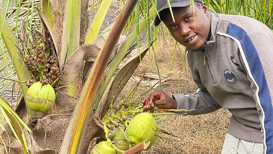 Jigawa State Projects