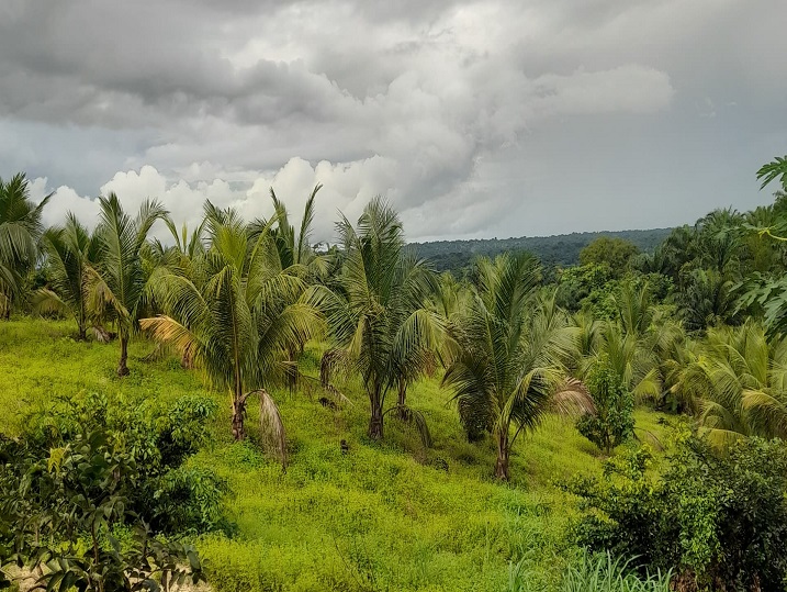 Enugu State Projects